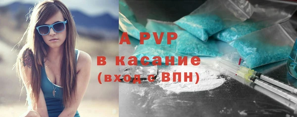 гашик Арсеньев