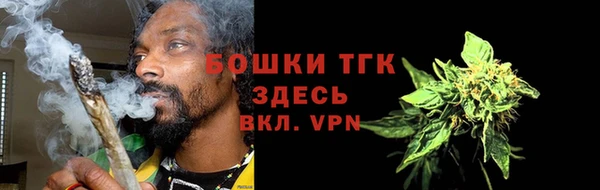 гашик Арсеньев
